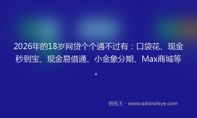 2026年的18岁网贷个个通不过有：口袋花、现金秒到宝、现金易借通、小金象分期、Max商城等。