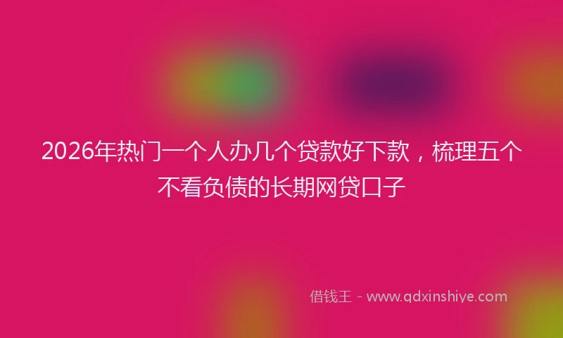 2026年热门一个人办几个贷款好下款，梳理五个不看负债的长期网贷口子