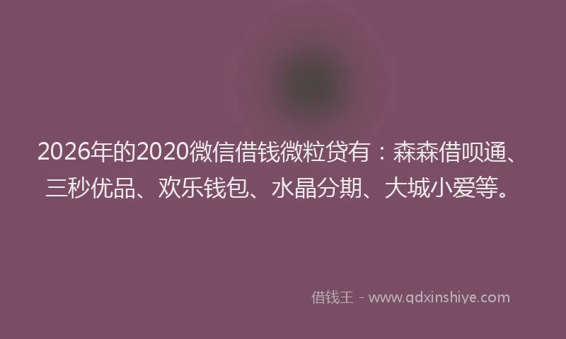2026年的2020微信借钱微粒贷有：森森借呗通、三秒优品、欢乐钱包、水晶分期、大城小爱等。