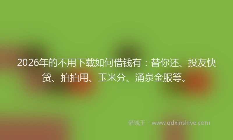 2026年的不用下载如何借钱有：替你还、投友快贷、拍拍用、玉米分、涌泉金服等。