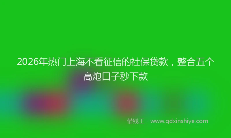 2026年热门上海不看征信的社保贷款，整合五个高炮口子秒下款