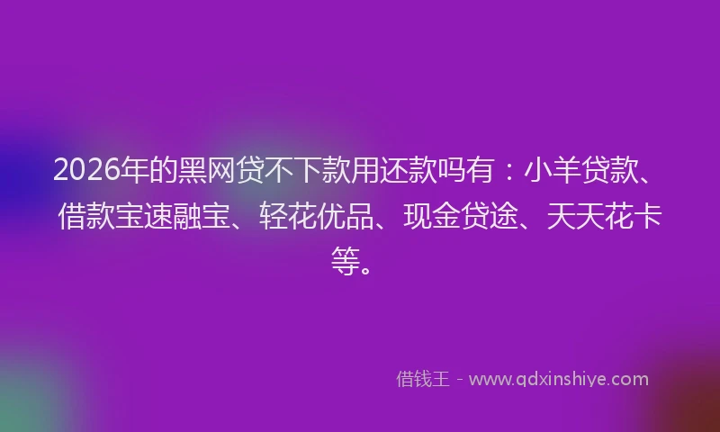 2026年的黑网贷不下款用还款吗有：小羊贷款、借款宝速融宝、轻花优品、现金贷途、天天花卡等。