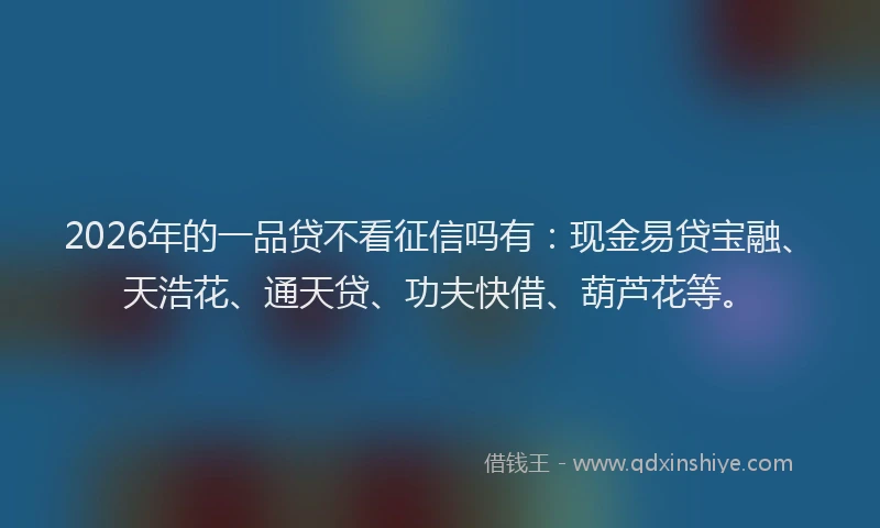 2026年的一品贷不看征信吗有：现金易贷宝融、天浩花、通天贷、功夫快借、葫芦花等。