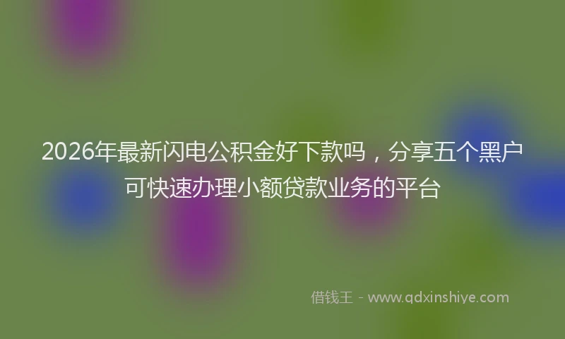 2026年最新闪电公积金好下款吗，分享五个黑户可快速办理小额贷款业务的平台