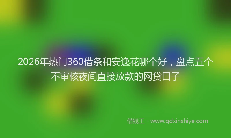 2026年热门360借条和安逸花哪个好，盘点五个不审核夜间直接放款的网贷口子