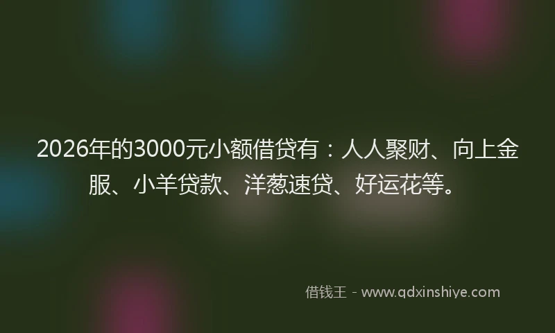 2026年的3000元小额借贷有：人人聚财、向上金服、小羊贷款、洋葱速贷、好运花等。