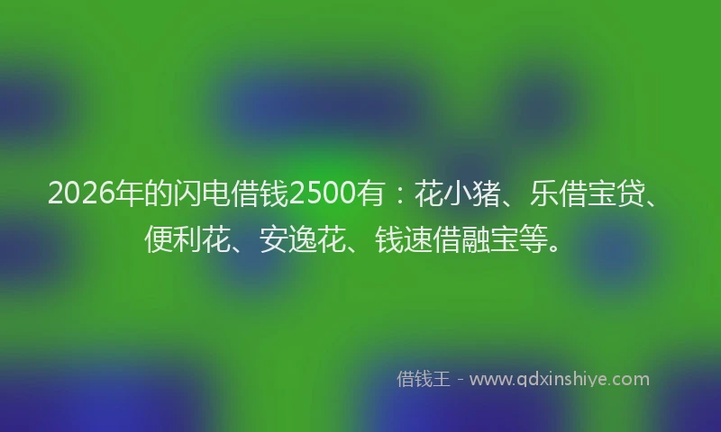 2026年的闪电借钱2500有：花小猪、乐借宝贷、便利花、安逸花、钱速借融宝等。