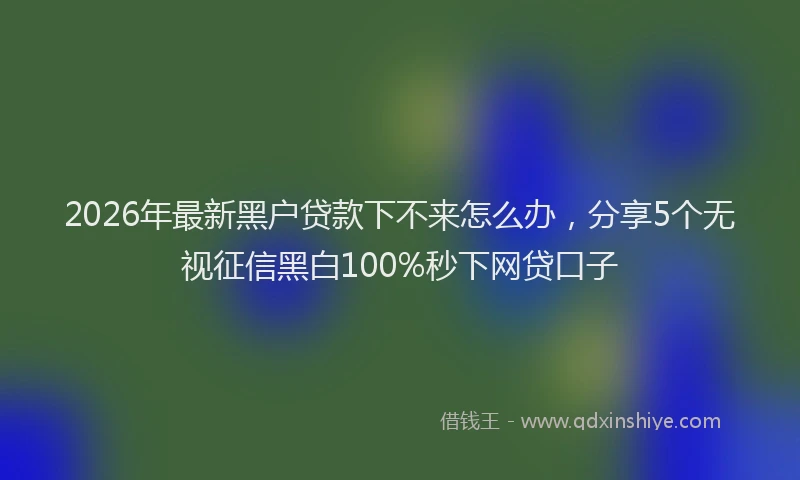 2026年最新黑户贷款下不来怎么办，分享5个无视征信黑白100%秒下网贷口子
