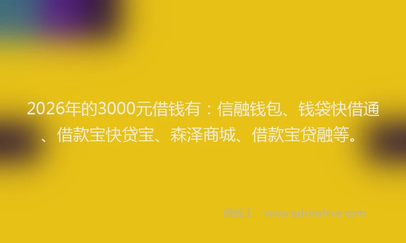 2026年的3000元借钱有：信融钱包、钱袋快借通、借款宝快贷宝、森泽商城、借款宝贷融等。
