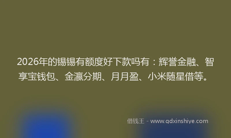 2026年的锡锡有额度好下款吗有：辉誉金融、智享宝钱包、金瀛分期、月月盈、小米随星借等。