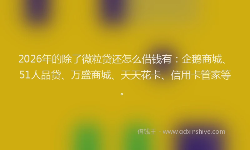 2026年的除了微粒贷还怎么借钱有：企鹅商城、51人品贷、万盛商城、天天花卡、信用卡管家等。