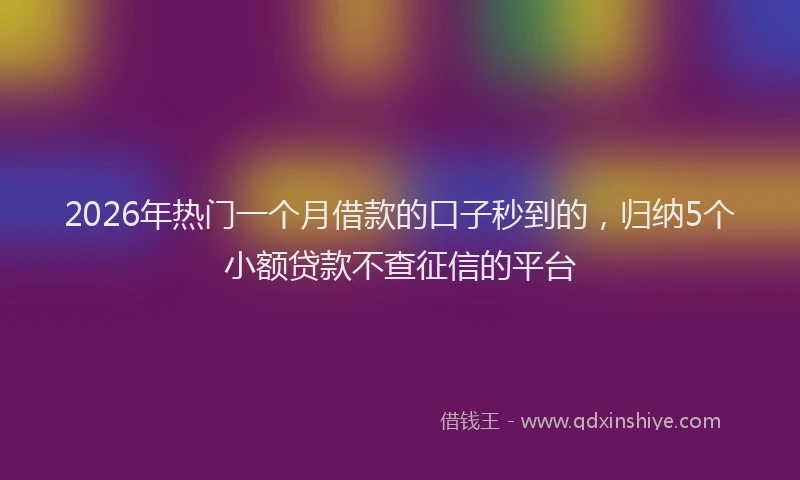 2026年热门一个月借款的口子秒到的，归纳5个小额贷款不查征信的平台