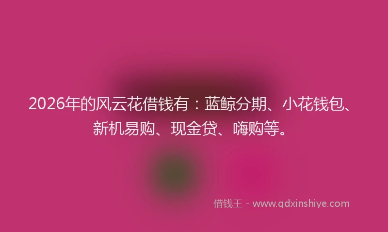 2026年的风云花借钱有：蓝鲸分期、小花钱包、新机易购、现金贷、嗨购等。