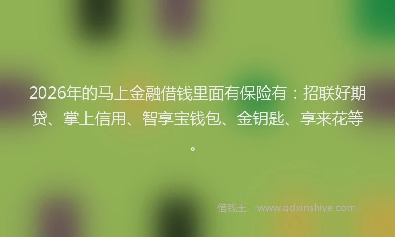 2026年的马上金融借钱里面有保险有：招联好期贷、掌上信用、智享宝钱包、金钥匙、享来花等。