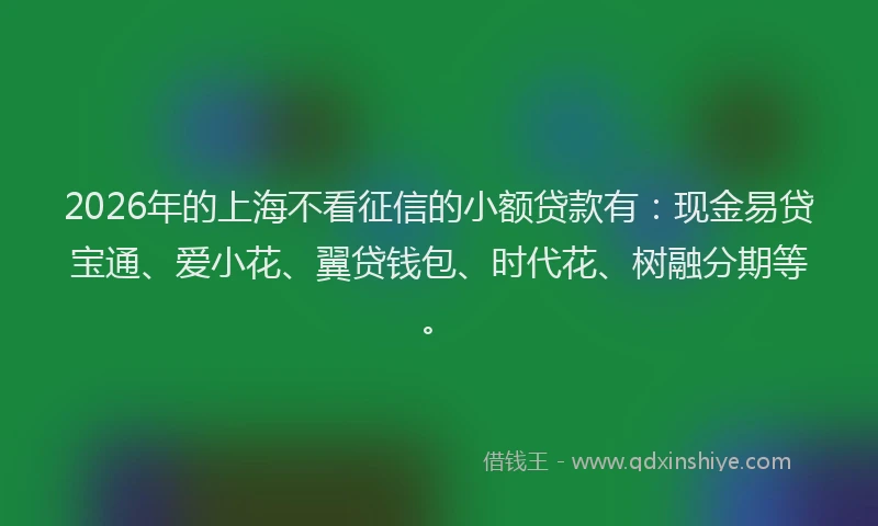 2026年的上海不看征信的小额贷款有：现金易贷宝通、爱小花、翼贷钱包、时代花、树融分期等。