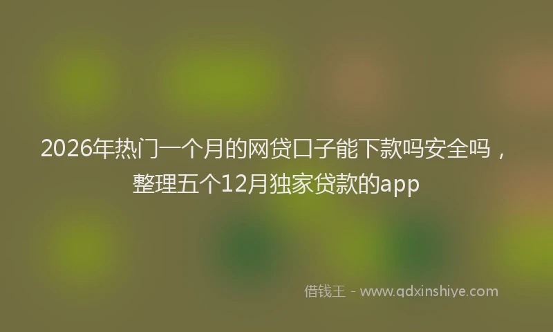2026年热门一个月的网贷口子能下款吗安全吗，整理五个12月独家贷款的app