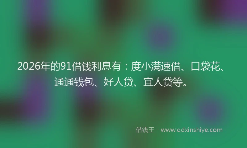 2026年的91借钱利息有：度小满速借、口袋花、通通钱包、好人贷、宜人贷等。
