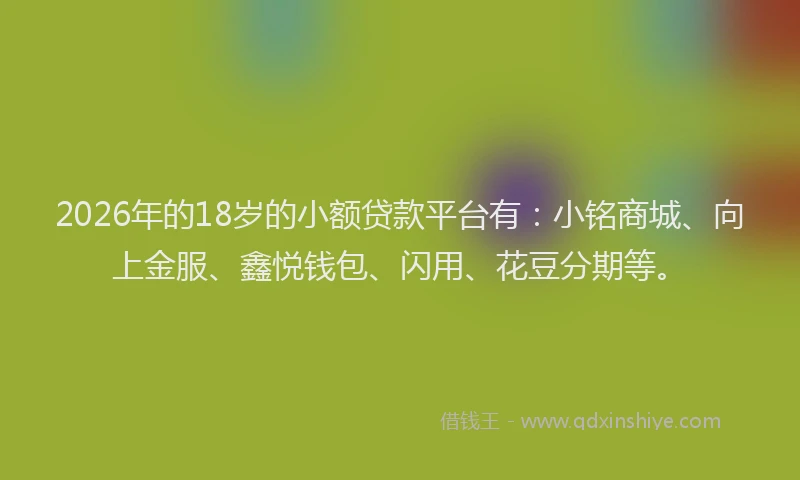 2026年的18岁的小额贷款平台有：小铭商城、向上金服、鑫悦钱包、闪用、花豆分期等。