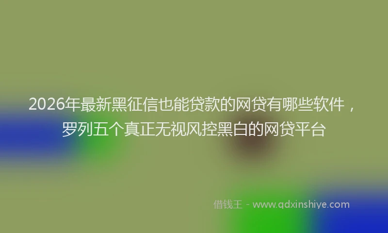 2026年最新黑征信也能贷款的网贷有哪些软件，罗列五个真正无视风控黑白的网贷平台