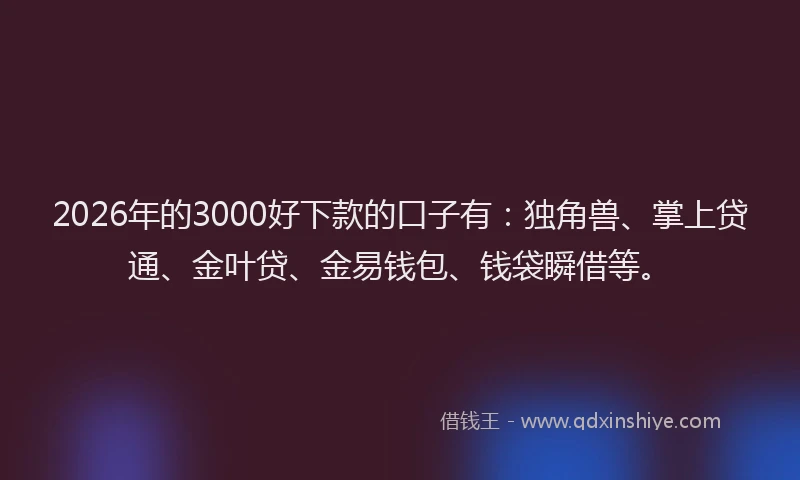 2026年的3000好下款的口子有：独角兽、掌上贷通、金叶贷、金易钱包、钱袋瞬借等。