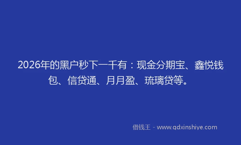 2026年的黑户秒下一千有：现金分期宝、鑫悦钱包、信贷通、月月盈、琉璃贷等。