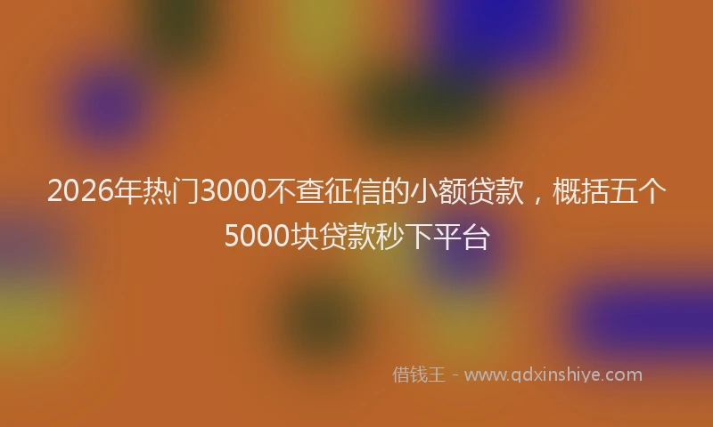 2026年热门3000不查征信的小额贷款，概括五个5000块贷款秒下平台
