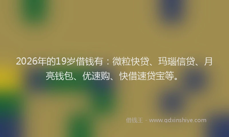 2026年的19岁借钱有：微粒快贷、玛瑙信贷、月亮钱包、优速购、快借速贷宝等。
