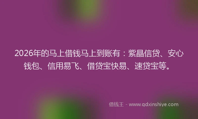 2026年的马上借钱马上到账有：紫晶信贷、安心钱包、信用易飞、借贷宝快易、速贷宝等。