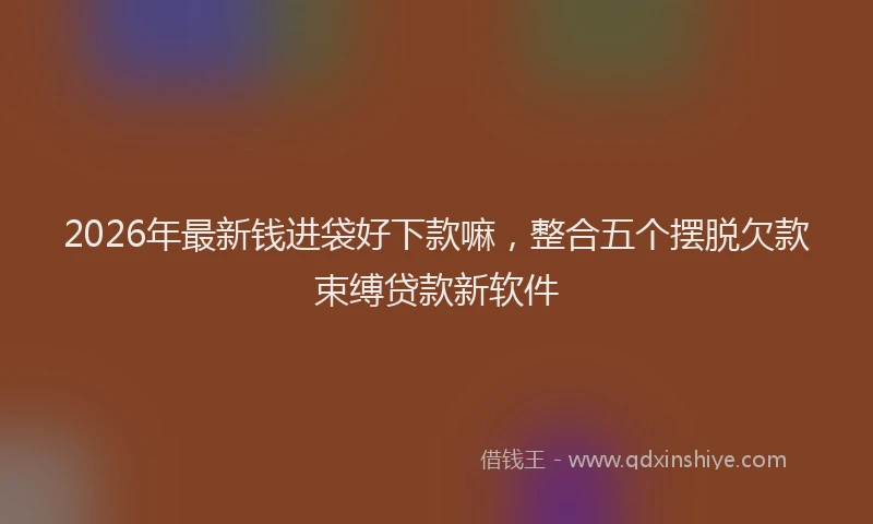 2026年最新钱进袋好下款嘛，整合五个摆脱欠款束缚贷款新软件