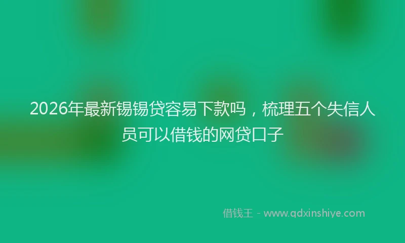 2026年最新锡锡贷容易下款吗，梳理五个失信人员可以借钱的网贷口子