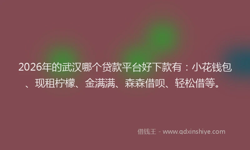 2026年的武汉哪个贷款平台好下款有：小花钱包、现租柠檬、金满满、森森借呗、轻松借等。