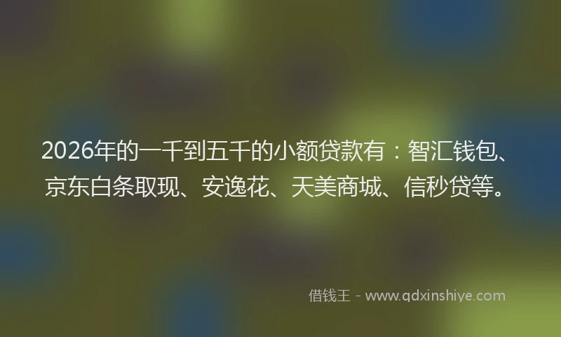 2026年的一千到五千的小额贷款有：智汇钱包、京东白条取现、安逸花、天美商城、信秒贷等。