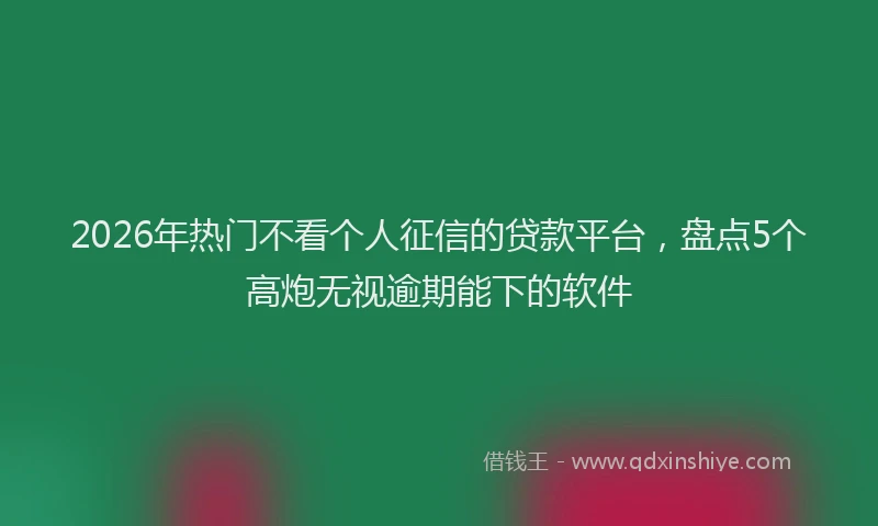 2026年热门不看个人征信的贷款平台，盘点5个高炮无视逾期能下的软件