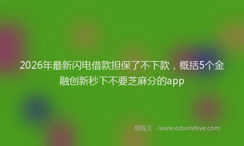 2026年最新闪电借款担保了不下款，概括5个金融创新秒下不要芝麻分的app