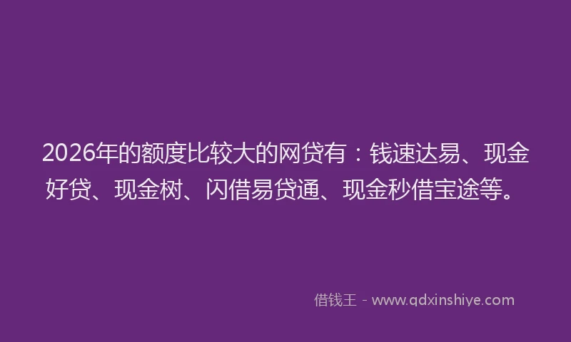 2026年的额度比较大的网贷有：钱速达易、现金好贷、现金树、闪借易贷通、现金秒借宝途等。