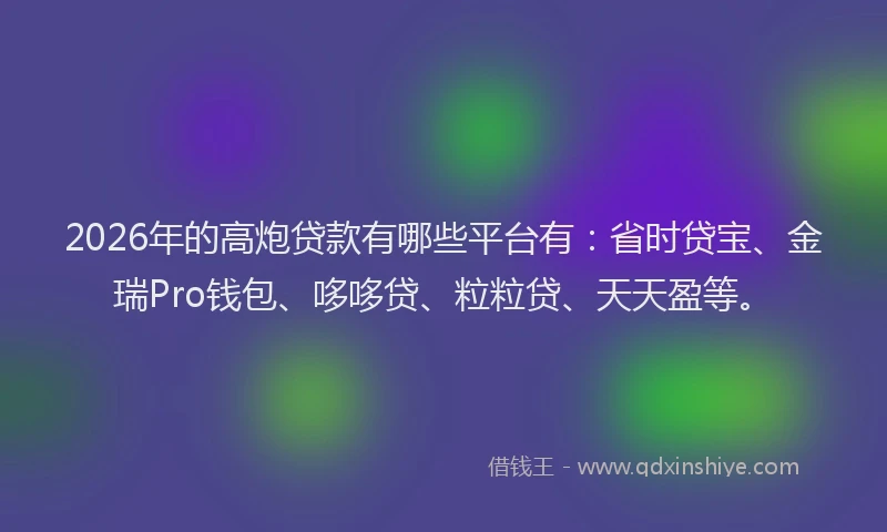 2026年的高炮贷款有哪些平台有：省时贷宝、金瑞Pro钱包、哆哆贷、粒粒贷、天天盈等。