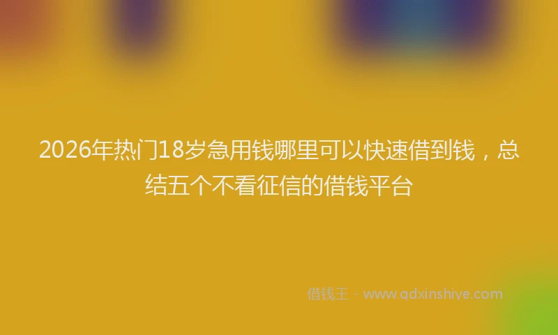2026年热门18岁急用钱哪里可以快速借到钱，总结五个不看征信的借钱平台