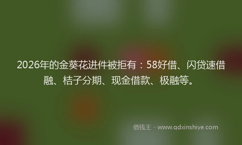 2026年的金葵花进件被拒有：58好借、闪贷速借融、桔子分期、现金借款、极融等。