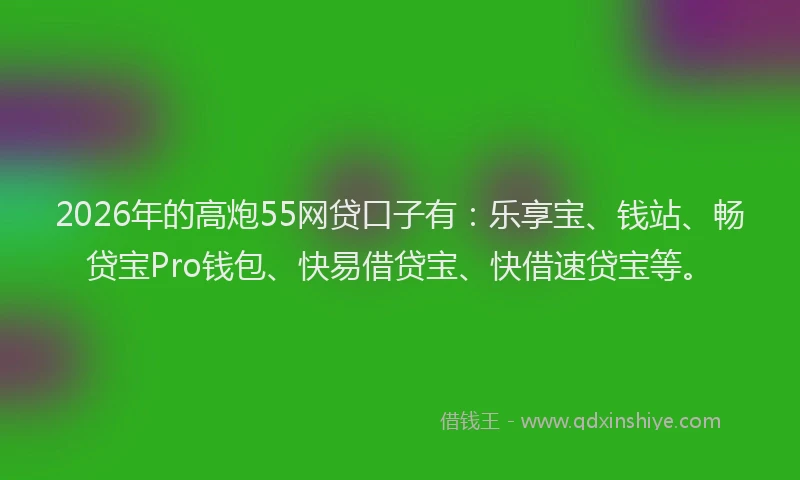 2026年的高炮55网贷口子有：乐享宝、钱站、畅贷宝Pro钱包、快易借贷宝、快借速贷宝等。