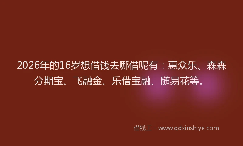 2026年的16岁想借钱去哪借呢有：惠众乐、森森分期宝、飞融金、乐借宝融、随易花等。