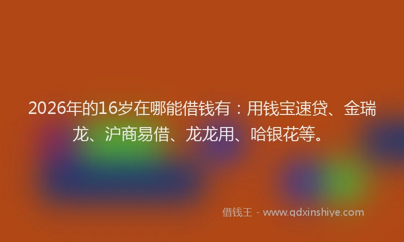 2026年的16岁在哪能借钱有：用钱宝速贷、金瑞龙、沪商易借、龙龙用、哈银花等。