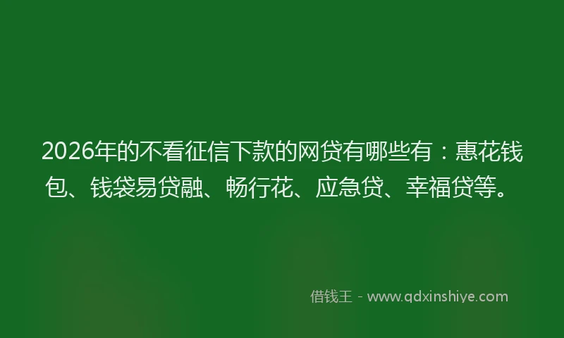 2026年的不看征信下款的网贷有哪些有：惠花钱包、钱袋易贷融、畅行花、应急贷、幸福贷等。