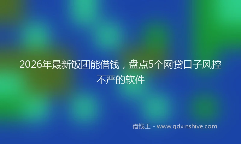 2026年最新饭团能借钱，盘点5个网贷口子风控不严的软件