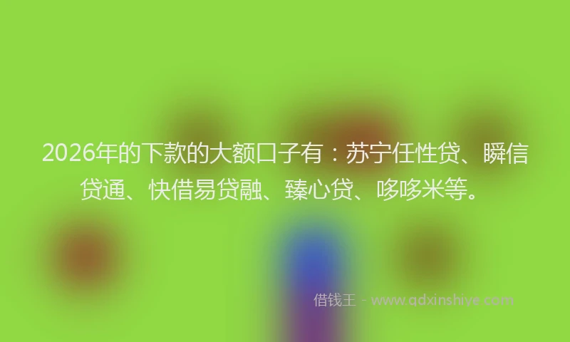 2026年的下款的大额口子有：苏宁任性贷、瞬信贷通、快借易贷融、臻心贷、哆哆米等。