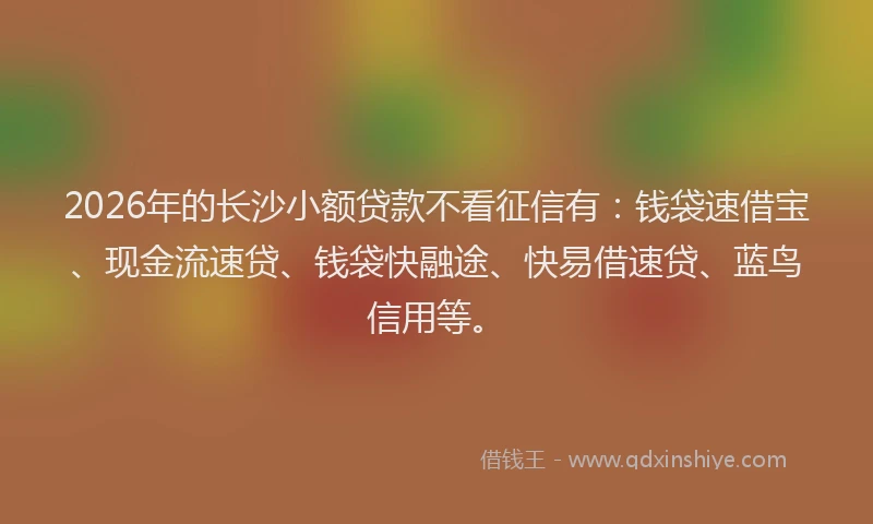 2026年的长沙小额贷款不看征信有：钱袋速借宝、现金流速贷、钱袋快融途、快易借速贷、蓝鸟信用等。