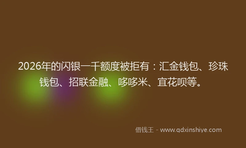 2026年的闪银一千额度被拒有：汇金钱包、珍珠钱包、招联金融、哆哆米、宜花呗等。