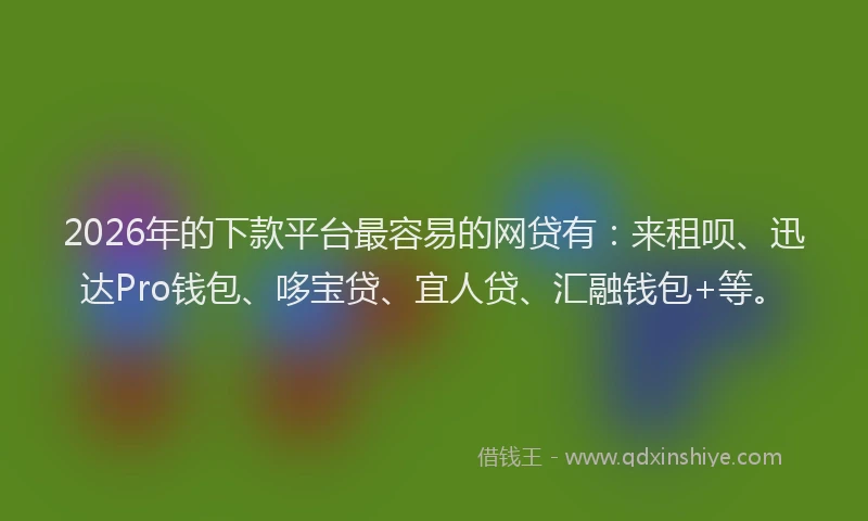 2026年的下款平台最容易的网贷有：来租呗、迅达Pro钱包、哆宝贷、宜人贷、汇融钱包+等。