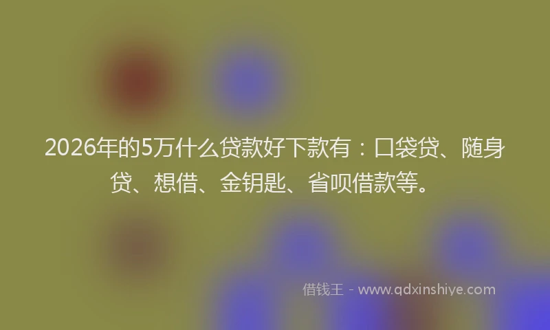 2026年的5万什么贷款好下款有：口袋贷、随身贷、想借、金钥匙、省呗借款等。