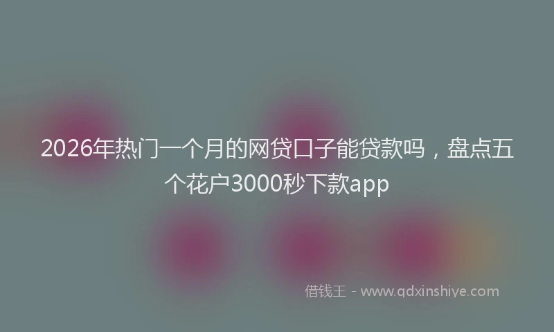 2026年热门一个月的网贷口子能贷款吗，盘点五个花户3000秒下款app