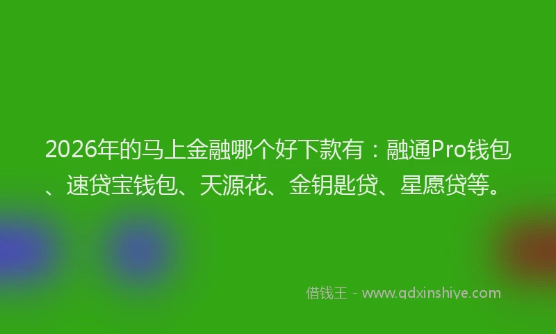 2026年的马上金融哪个好下款有：融通Pro钱包、速贷宝钱包、天源花、金钥匙贷、星愿贷等。